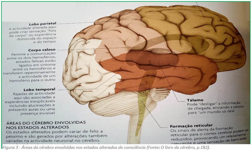 Áreas do cérebro envolvidas nos estados alterados de consciência 